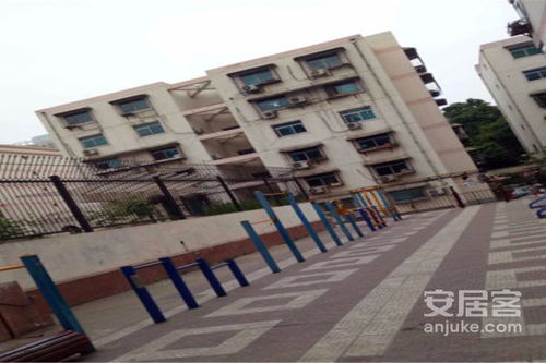 黃河機器制造廠九街坊小區居住體驗與市場觀察 優缺點分析及周邊經紀評價