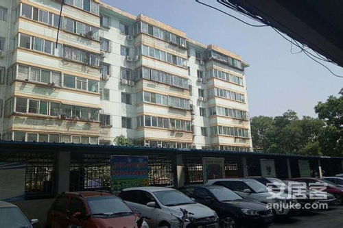 毛條廠宿舍優缺點解析與周邊市場觀察